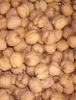 frische Walnüsse - ganze Nüsse in Schale - Ernte 2025 - bio vegan - Eitensheim