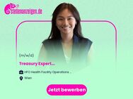 Treasury Expert (m/w/d)