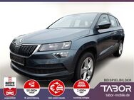 Skoda Karoq, 1.6 TDI 116 Amb ViCo, Jahr 2020 - Freiburg (Breisgau)