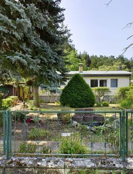 Grundstück am Waldrand mit Bestandshaus, das auch für Neubau geeignet ist - Langewahl