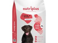 2-fach zooPunkte auf Nutriplus Trockenfutter - Adult Lamm 15 kg
