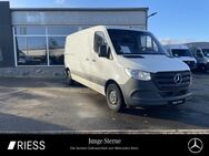 Mercedes Sprinter, 214 L2H1 3924 MBUX, Jahr 2020 - Rottweil