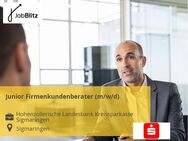 Junior Firmenkundenberater (m/w/d) - Sigmaringen