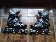 Inline Skates Rossignol, Distance, Gr.42,5, incl. Schützer - Regensburg