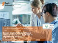 Duales Studium Fachrichtung "Wasserwirtschaft" Bachelor of Engineering (m/w/d) - Blankenburg (Harz)