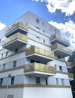 Traumhafte 3-Zimmer Wohnung mit Balkon in den beliebten Hansaterrassen! Frei ab Juni 2025! - Hamburg