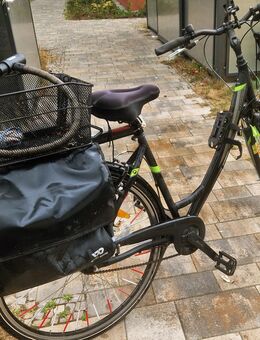 Pegasus Avanti Alu- Trekkingbike - Berlin