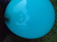 Suche jemand der mit mir Luftballons bespielt - Langenselbold