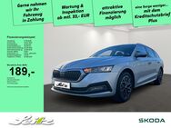 Skoda Octavia, 2.0 TDI Combi Style, Jahr 2024 - Immenstadt (Allgäu)