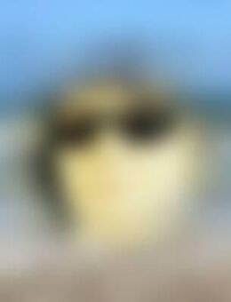 Cor*** - Neustadt (Main)