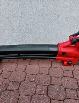 Einhell Akku-Laubsauger Laubbläser - Buchen (Odenwald) Zentrum