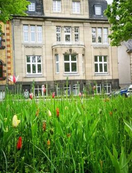 Historisches Gebäude mit Geschichte in Frontlage am St.-Veit-Park in Mayen - Mayen