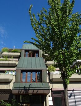 Helle, renovierte und teilsanierte 3 Zimmer-Wohnung im Herzen der Waldstadt - Karlsruhe