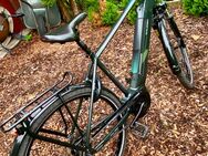 E-Bike Raleigh Bristol 8 - Grasberg