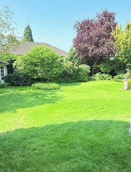 Waldrandlage. Bungalow mit Garten & Souterrain für Wohnzwecke geeignet mit separatem Eingang! - Heusenstamm