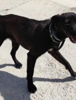 Montse - Geilenkirchen