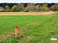 Hingeschaut! +Provisionsfrei Grundstück in 07422 Bad Blankenburg - Bad Blankenburg