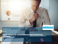 Finanzexperte Unternehmensentwicklung (m/w/d) - Schwerin