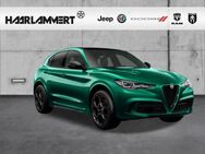 Alfa Romeo Stelvio, Quadrifoglio Q4 21ZOLL, Jahr 2024 - Hasbergen