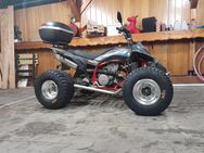 Gasgas hp wild 450 Lof 53 PS - Villingen-Schwenningen