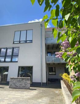 Moderne Erdgeschosswohnung mit Terrasse und Stellplatz in Baunatal-Großenritte - Baunatal