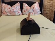 Welche SIE möchte mal einen Sybian ausprobieren? - Bremen