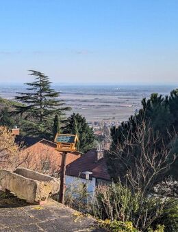 Einfamilienhaus mit traumhaftem Schlossblick - Neustadt (Weinstraße)