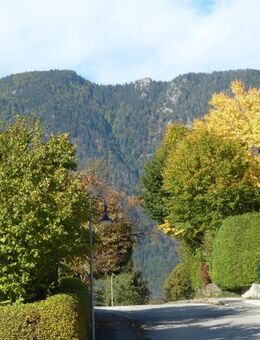 Bayerisch Gmain: Sonnige 2 Zimmer-Wohnung mit Südbalkon in absoluter Ruhelage! - Bayerisch Gmain