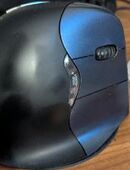 Ergonomische vertikale Evoluent Maus in 71384