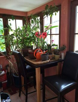 Charmantes, hochwertig saniertes Zweifamilienhaus mit vielseitigen Nutzungsmöglichkeiten. - Steinheim (Murr)