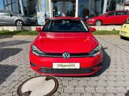 VW Golf VII 1.0 TSI BMT/Start-Stopp: NAVI. Klima. - Mainz