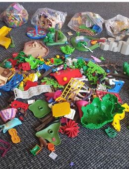Playmobil - Marschacht
