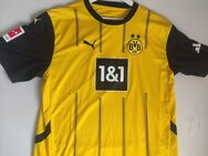 Borussia Dortmund Trikot 2024/25 - gelb - Neu - Hude (Oldb)