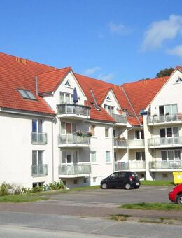 effizient, solide und beliebt - Selmsdorf