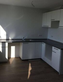 Große, helle, komplett sanierte 3 Zimmer-Wohnung in Schleswig Nord. Ideal für Paare! - Schleswig