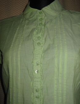 NEUw * Romantik * Rüschen * Peter Pan Kragen * Kurzarm * Puffärmel * Bluse "ESPRIT" Gr. 36- 38/ S * pistazie * kiwi- grün * - Riedlingen