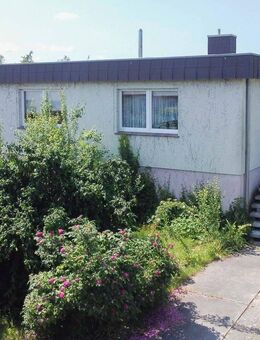 Sechs Zimmer, Kamin & Sauna - Aus dem Wohnzimmer in Velgast die Rehe beobachten - Velgast