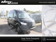 Mercedes Sprinter, 316 AMF Rollstuhlumbau, Jahr 2021 - Weißenburg (Bayern)