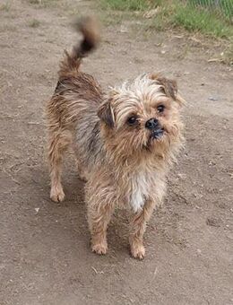 Cooper, einfach bezaubernd (E) - Ludwigshafen (Rhein)