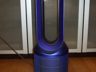 Dyson Luftreiniger PureHot+coollink - Köln