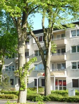 Attraktive 2-Zimmer-Wohnung mit Balkon - wird demnächst modernisiert - Datteln