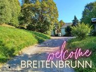 ++ Frisch renovierte 2-Raum-Wohnung in idyllischer Lage im schönen Erzgebirge ++ - Breitenbrunn (Erzgebirge)