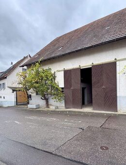 "Mach was draus, Klaus!" - Ihringen