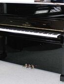 Klavier Yamaha YU11(U1), 121cm, schwarz poliert, 5 Jahre Garantie in 21272