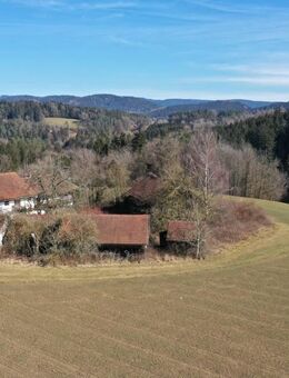 ehem. Hofstelle in einzigartiger Lage - Haselbach (Bayern)