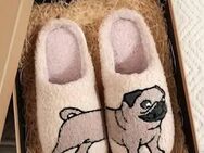 Pantoffeln Hausschuhe Gr.39 Bulldogge - Braunschweig