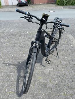 Simplon Chenoa - Halle (Westfalen)