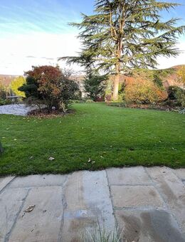 Kleine 2,5 Zimmer Wohnung mit eigenem Eingang in einer top Lage von Eilpe! - Hagen (Stadt der FernUniversität)