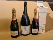 Champagner und Magnumflasche Sekt (4 Flaschen) - Cremlingen