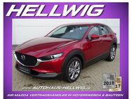 Mazda CX-30, 2.0 l (150PS) Exclusive NEU 2024, Jahr 2022 - Hoyerswerda